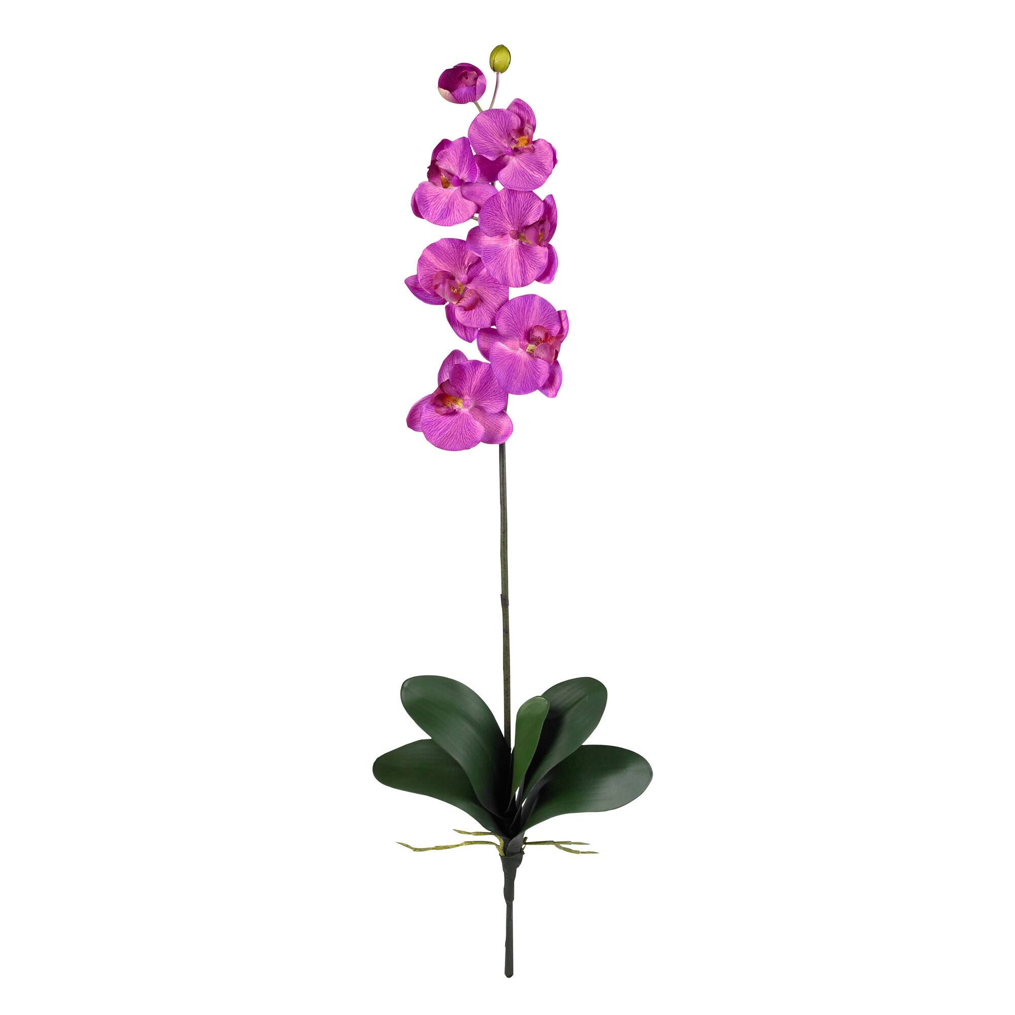 Pink Moth Orchid Stem, 6ct.